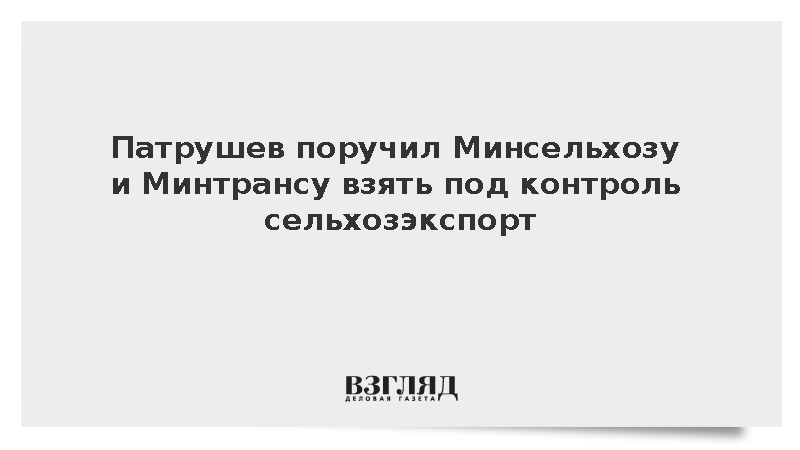 Патрушев поручил Минсельхозу и Минтрансу взять под контроль сельхозэкспорт