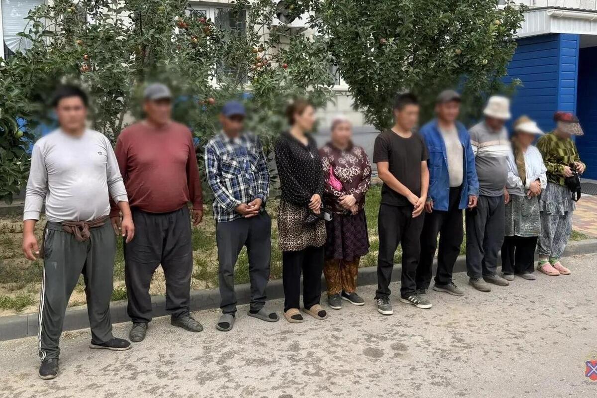 В Волгоградской области прошли проверки мигрантов с использованием дронов