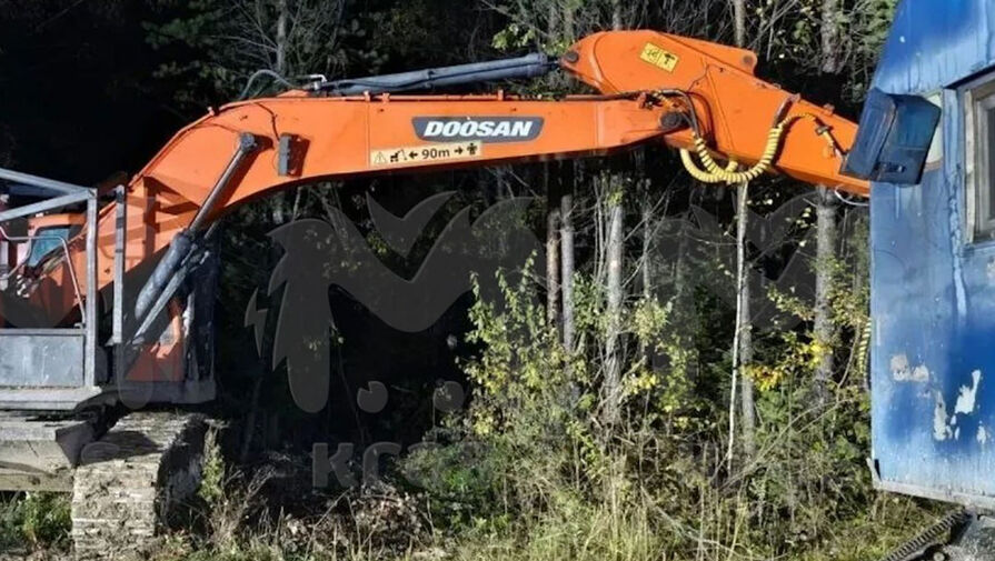 Медведя, задравшего мужчину в Красноярском крае, ранили охотники