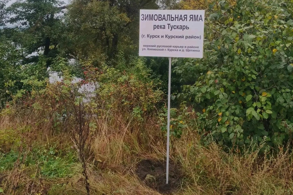В Курской области обозначили зимовальные ямы на реке Тускарь