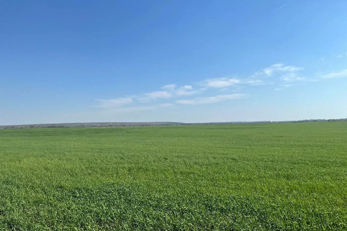 На сельхозучастке в Рязанской области выявили загрязнение почвы