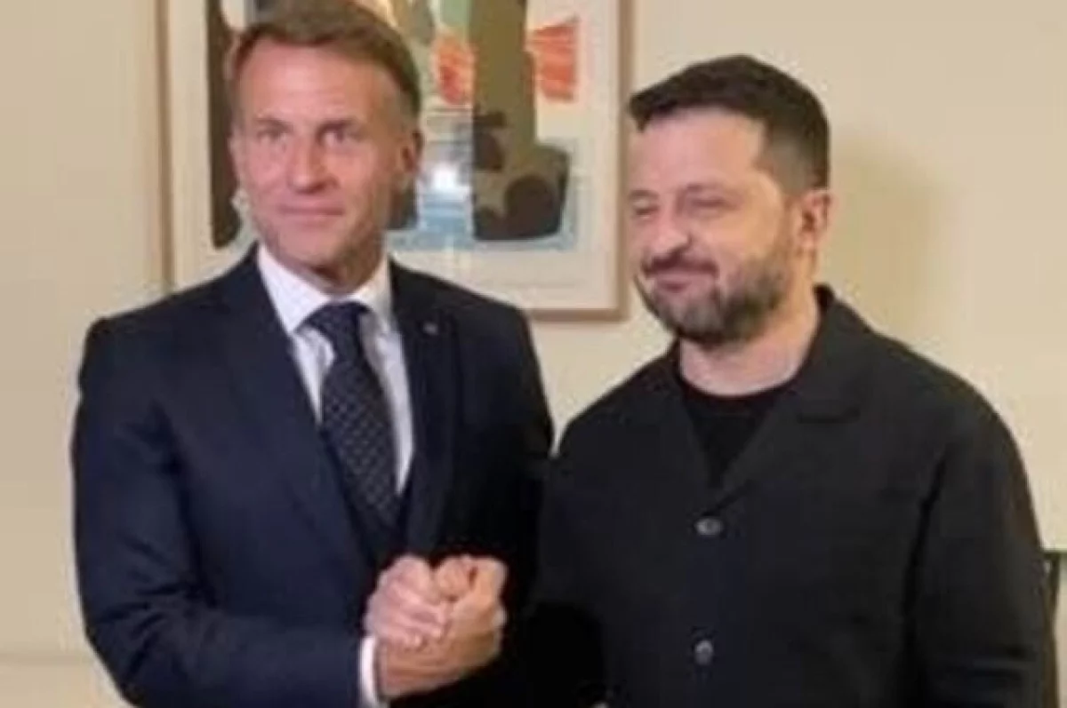 Христофору: странная реакция Зеленского испортила встречу с Макроном