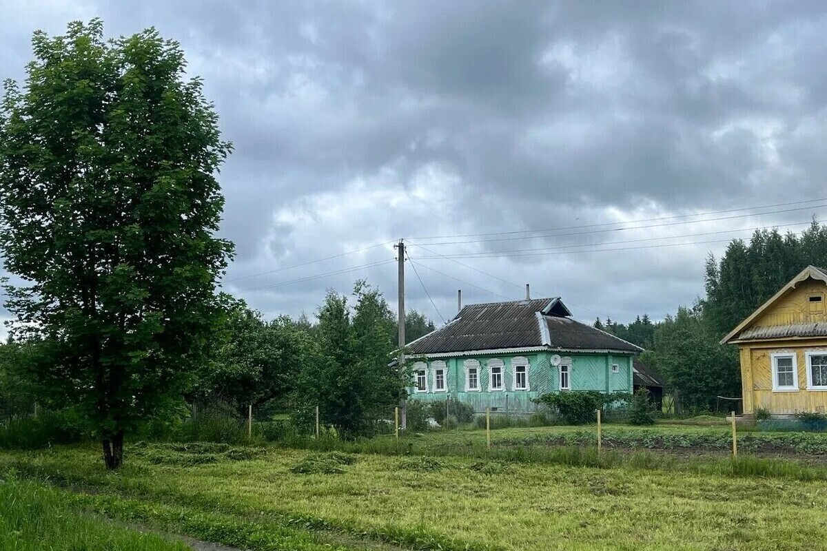 Более половины арктических гектаров в Заполярье получили жители других регионов