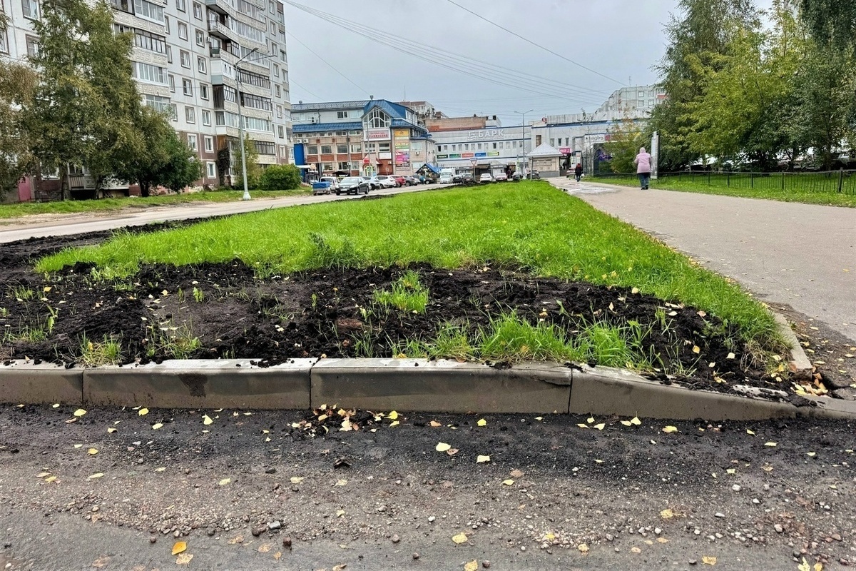 В Великом Новгороде благоустроили зеленую зону на улице Свободы