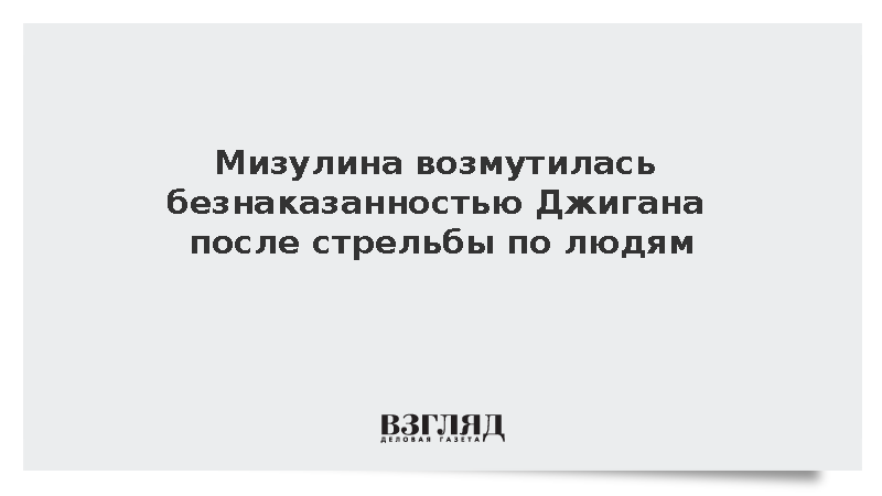Мизулина возмутилась безнаказанностью Джигана после стрельбы по охране дома