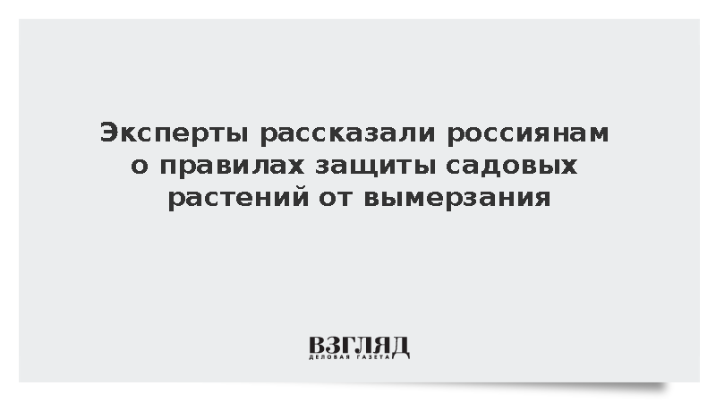 Эксперт Гоголева: Укрывать многолетние растения надо после наступления заморозков