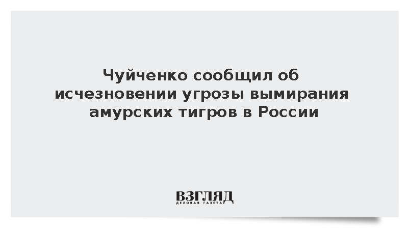 Чуйченко: Амурский тигр перестал быть вымирающим видом