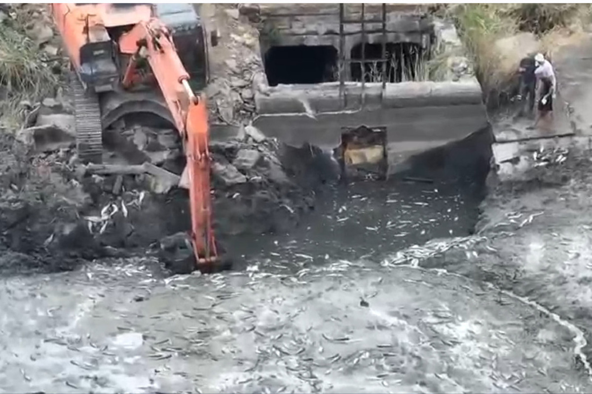 Виновный в осушении запорожской реки Домузла и массовой гибели рыбы пойдёт под суд