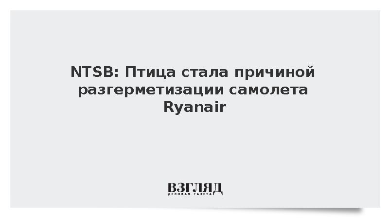 NTSB: Останки птицы нашли в двигателе аварийного Boeing 737 Ryanair