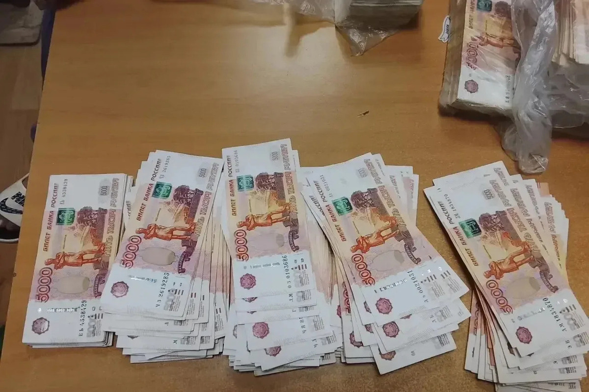 В Первомайске задержали подозреваемых в хищении более 8 млн у матери погибшего участника СВО