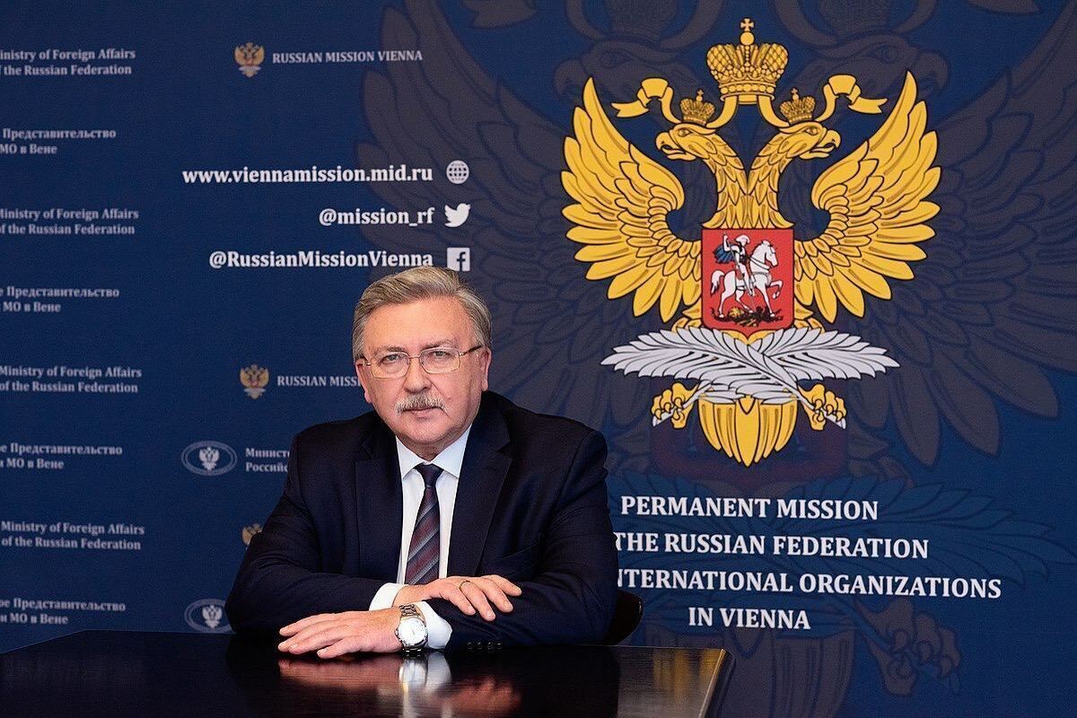 Киев не получил поддержки в попытке помешать переизбранию РФ в МАГАТЭ