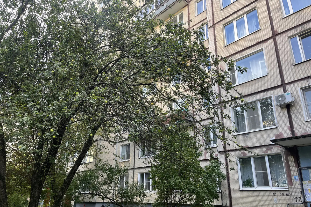 Бастрыкин вступился за жителей Гурьевска с плохим состоянием домов