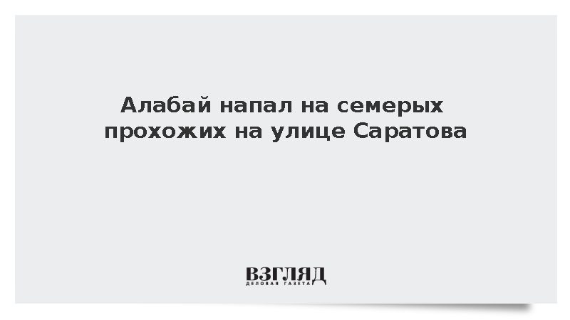 Алабай напал на семерых прохожих на улице Саратова