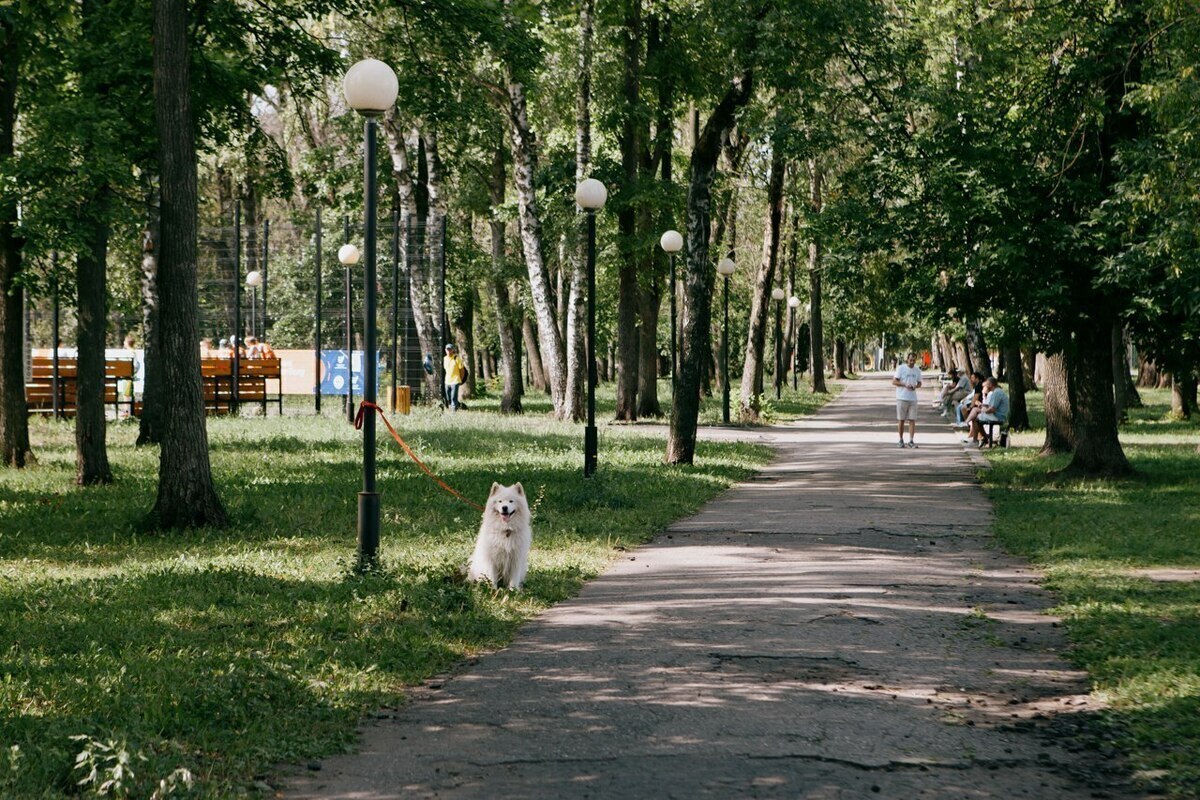 Прохладный и ветреный день ожидает пензенцев 14 августа