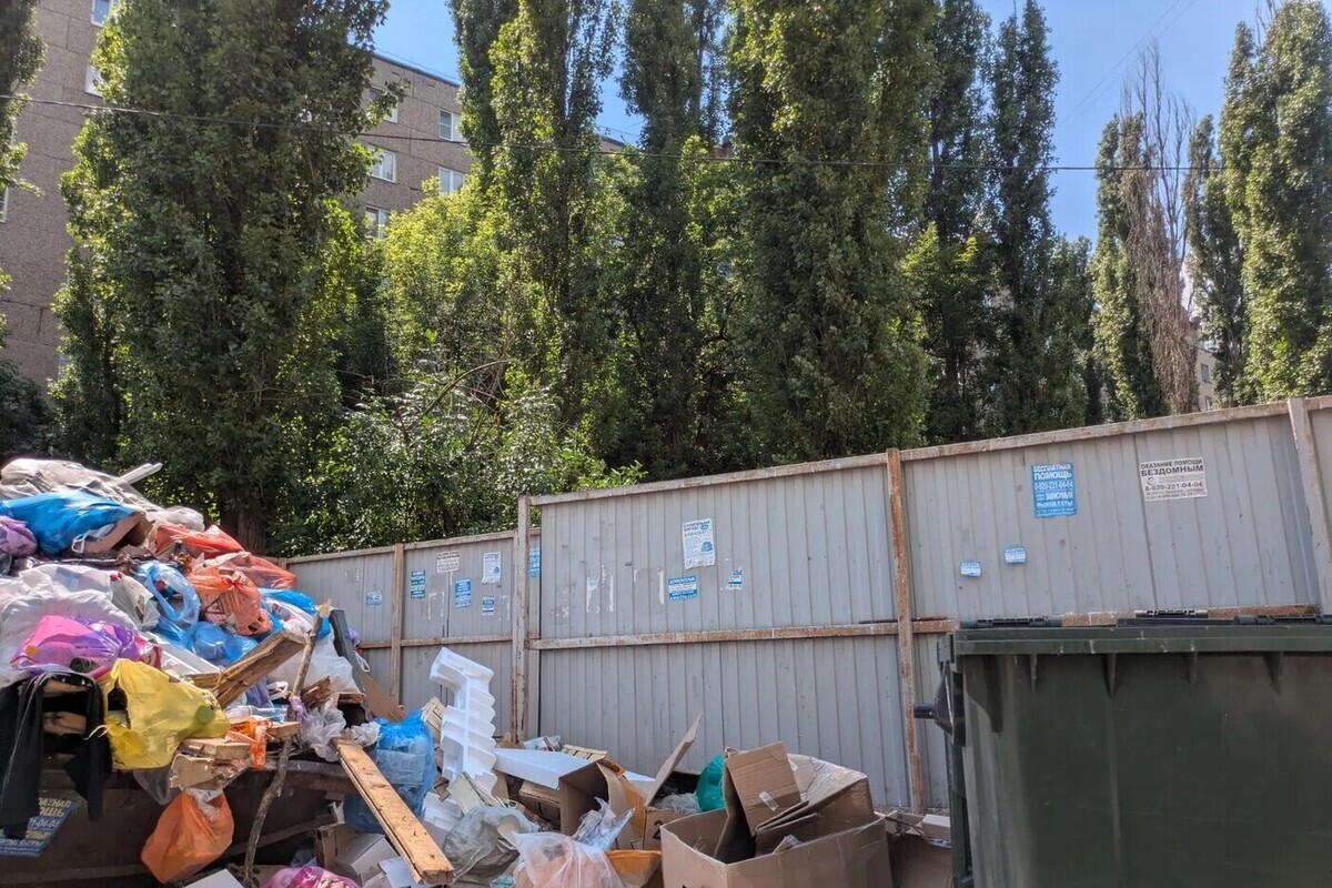 Мэр Воронежа пригласил горожан на субботник 10 октября