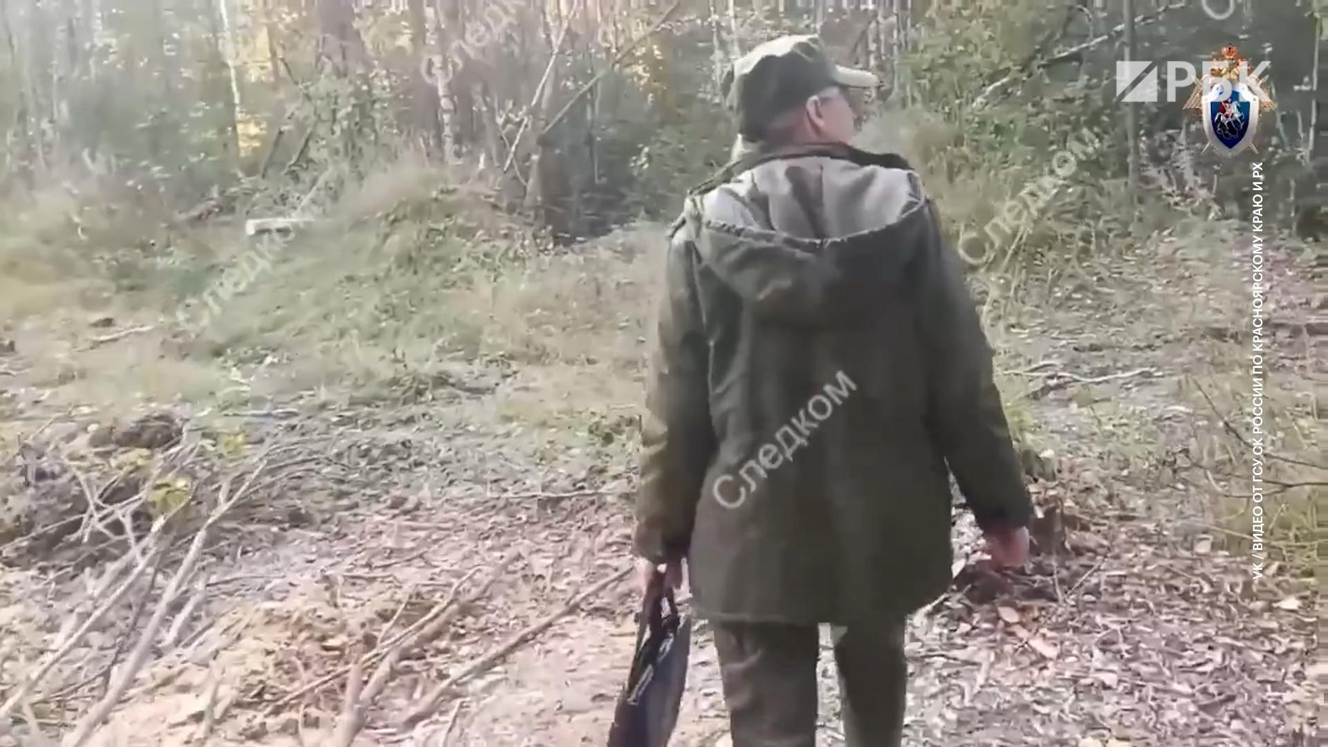 Обыски прошли в минприроды Красноярского края из-за нападений медведей