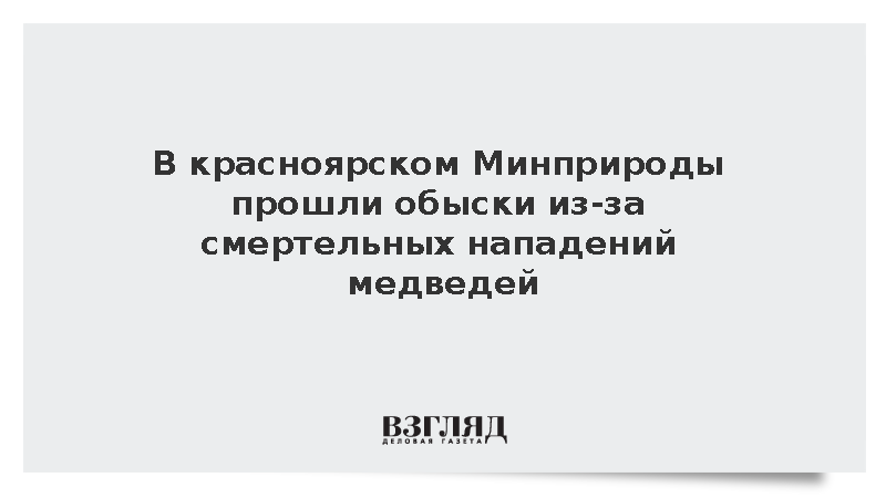 В красноярском Минприроды прошли обыски из-за смертельных нападений медведей