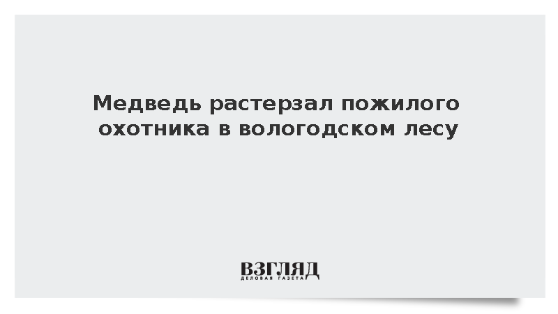Медведь растерзал пожилого охотника в вологодском лесу