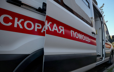 ТАСС: погибшим после нападения медведя в Туве оказался хоккейный тренер Кузьменко