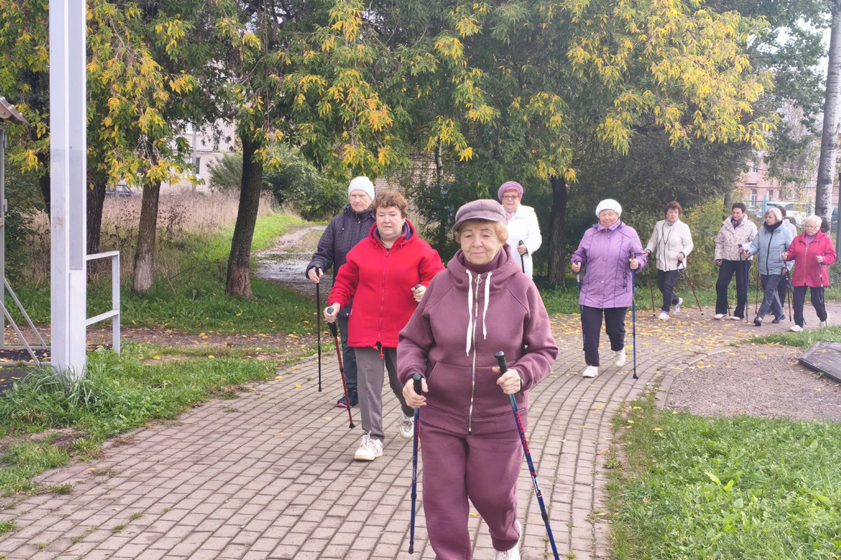 Скандинавская ходьба у Солёного пруда объединила чудовских долголетов