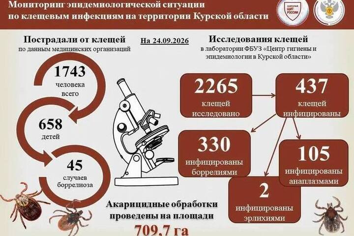 За сезон от укусов клещей пострадали более 1,7 тысячи курян