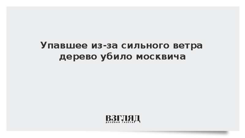 Упавшее из-за сильного ветра дерево убило москвича