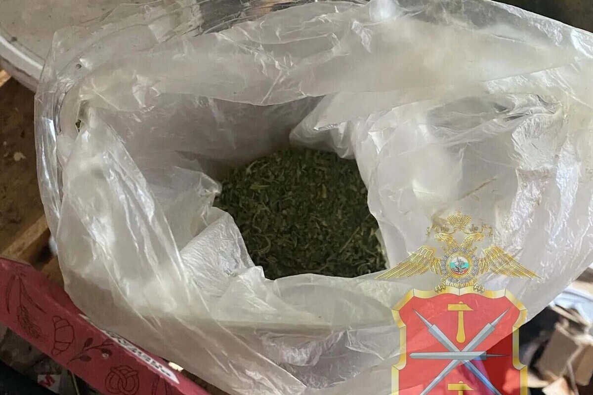 У тулячки, хранившей марихуану в постройке, изъяли 160 граммов