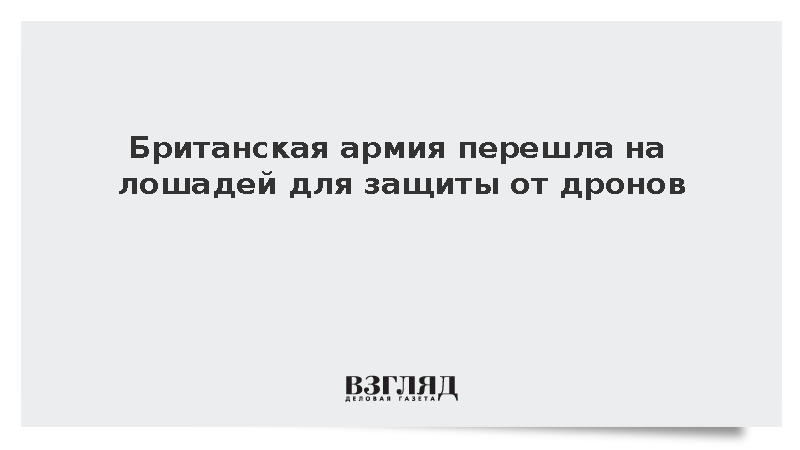 Британские военные провели лесные учения на лошадях для защиты от дронов
