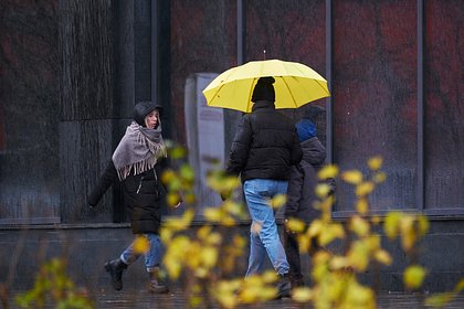 Россияне раскрыли способы пережить осеннюю непогоду