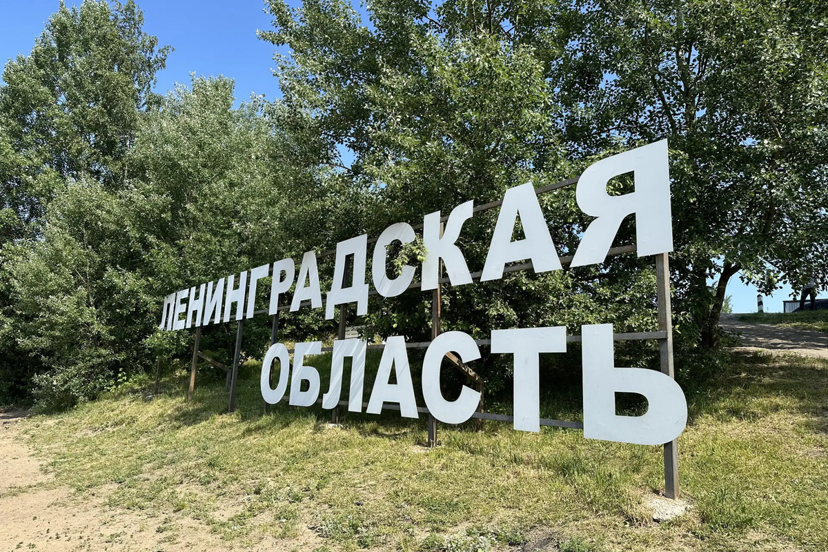 Ленобласть нашла способ заработать 11 млрд рублей в 2027 году
