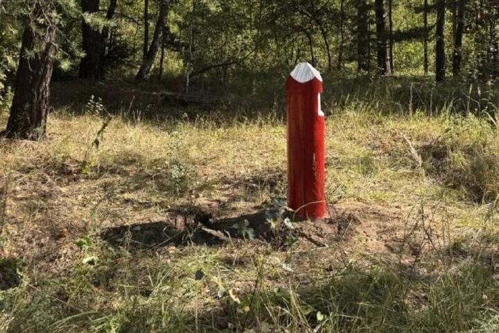 В Орехово-Зуевском округе обновляют квартальные столбы, помогающие ориентироваться в лесу