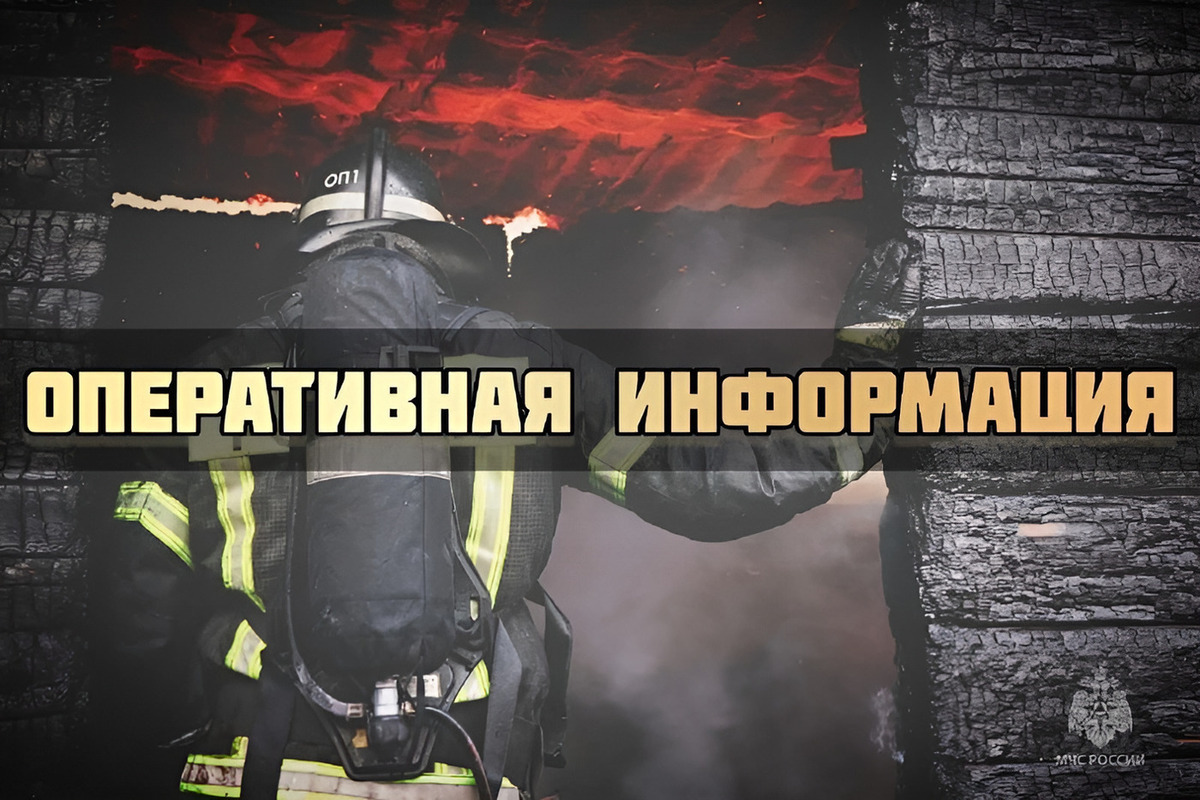 В деревне Орша Новоржевского муниципального округа сгорело бесхозное строение