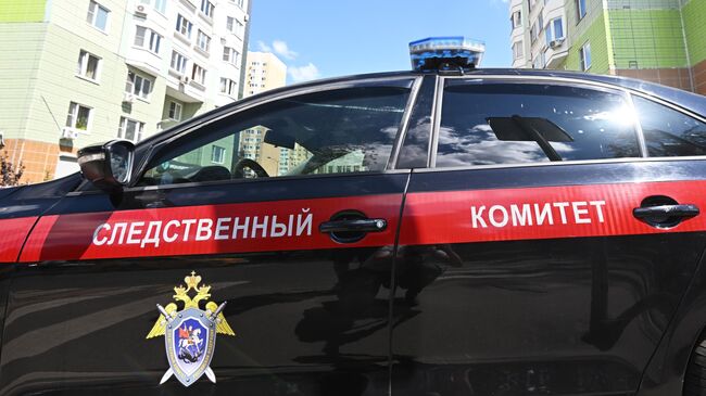 СК возбудил дело после жестокого убийства девочки в Ростовской области