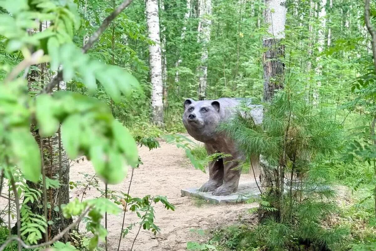 В Нижневартовске откроют новую экологическую тропу «Ягомский чугас»