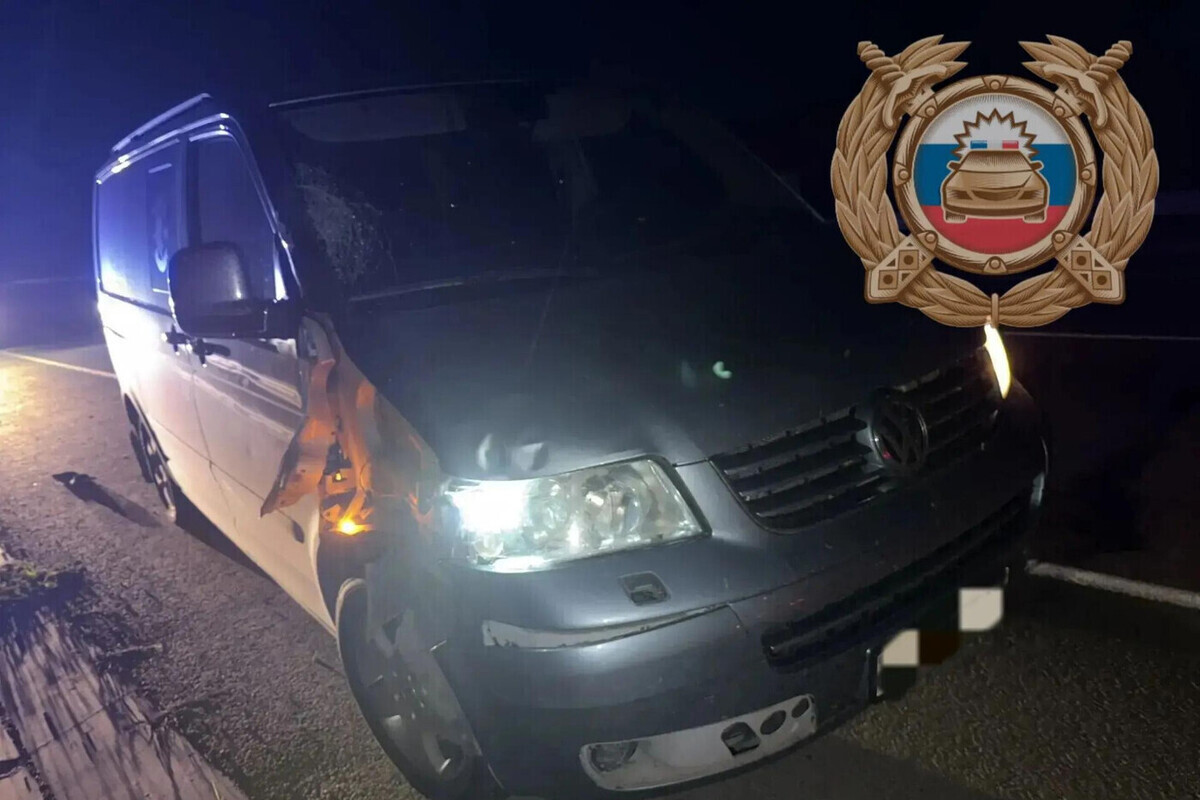 Под Аткарском под колесами минивэна погиб прохожий