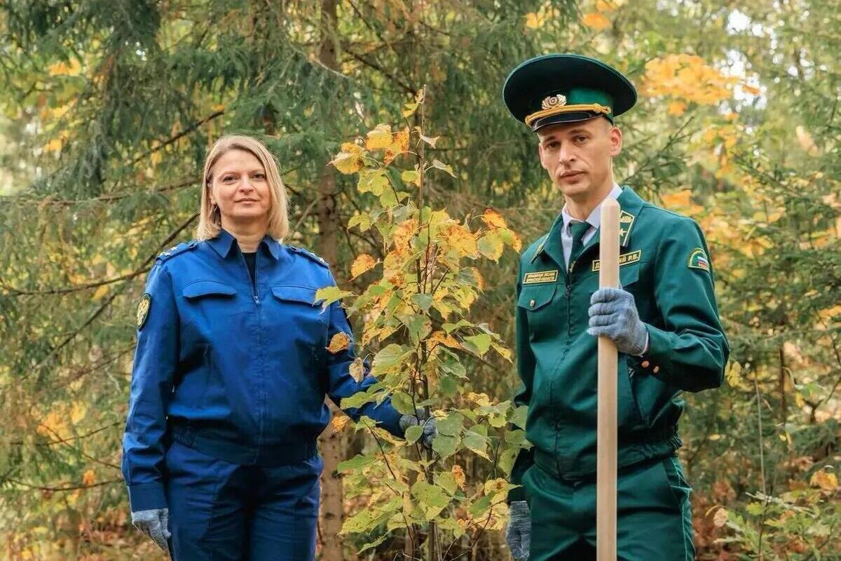 В Брянской области в рамках акции «Сохраним лес» высадили аллею из 70 лип