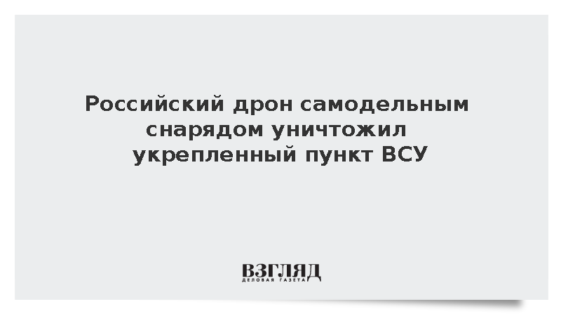 Дрон с самодельным боеприпасом «Домолом» уничтожил укрепленный пункт ВСУ