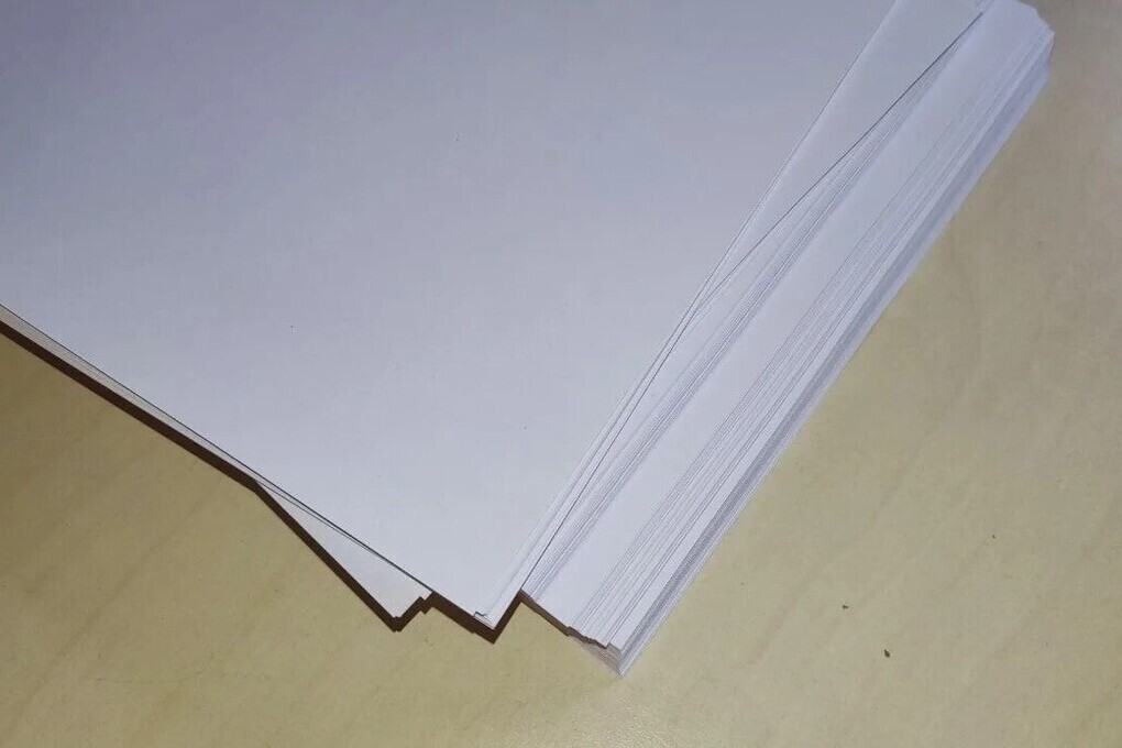 В Мурманской области 56% руководителей высоко оценили свой эмоциональный интеллект