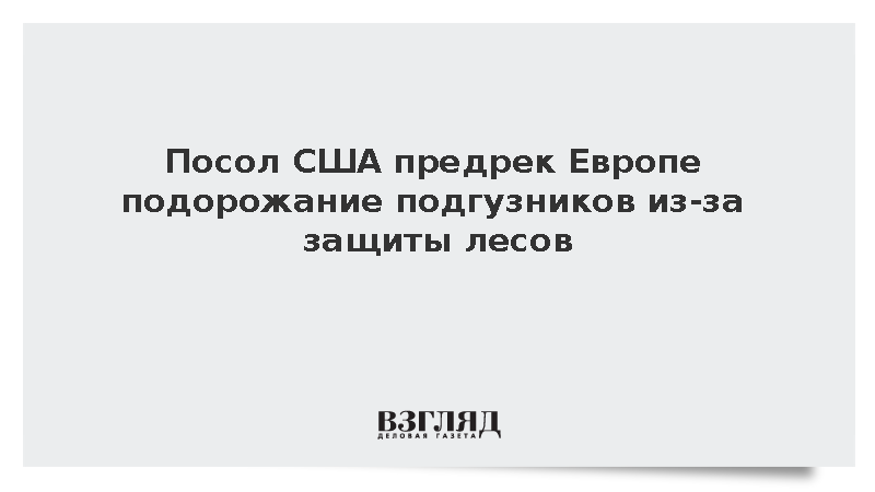 США предупредили о возможном подорожании подгузников в ЕС из-за регламента EUDR