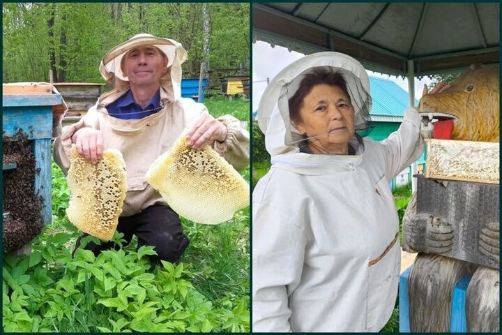 Семейная пасека в Чувашии вчетверо увеличила производство меда