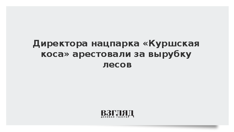 Директора нацпарка «Куршская коса» арестовали за вырубку лесов