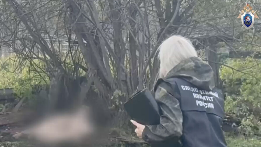 Появилось видео с места нападении медведя на женщину в Красноярском крае