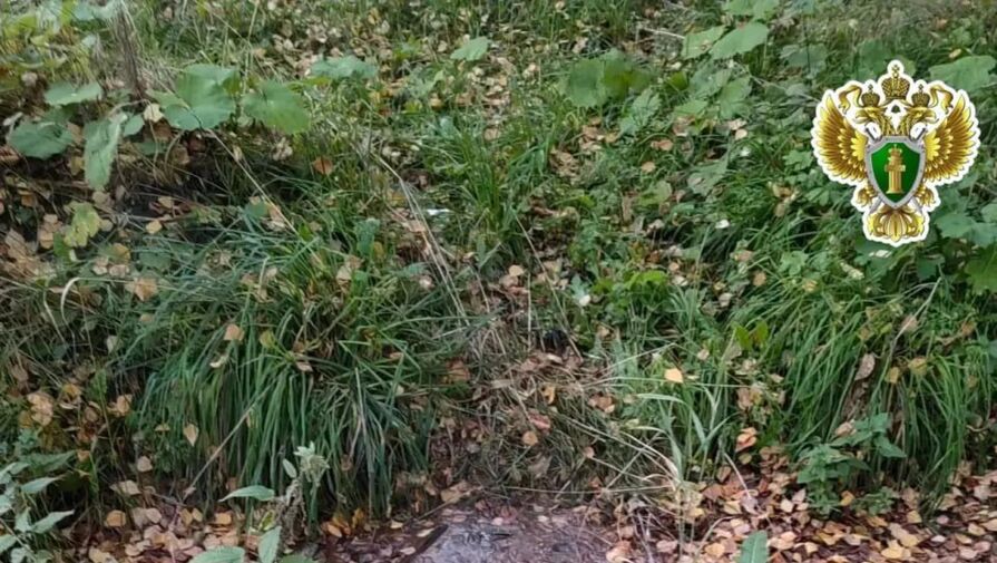 Девочка обварилась, упав в яму с кипятком возле дома в Архангельске