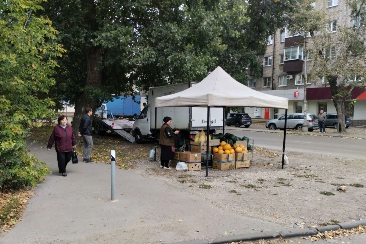 В Липецке прикрыли незаконную торговлю бахчевыми с «Газели»