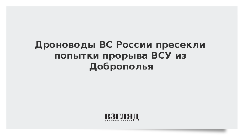 Дроноводы ВС России пресекли попытки прорыва ВСУ из Доброполья