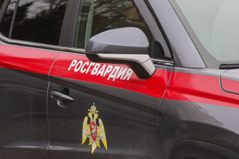 Росгвардейцы спасли россиянку от сына с ножом