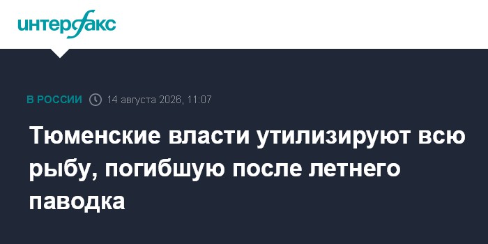 Тюменские власти утилизируют всю рыбу, погибшую после летнего паводка