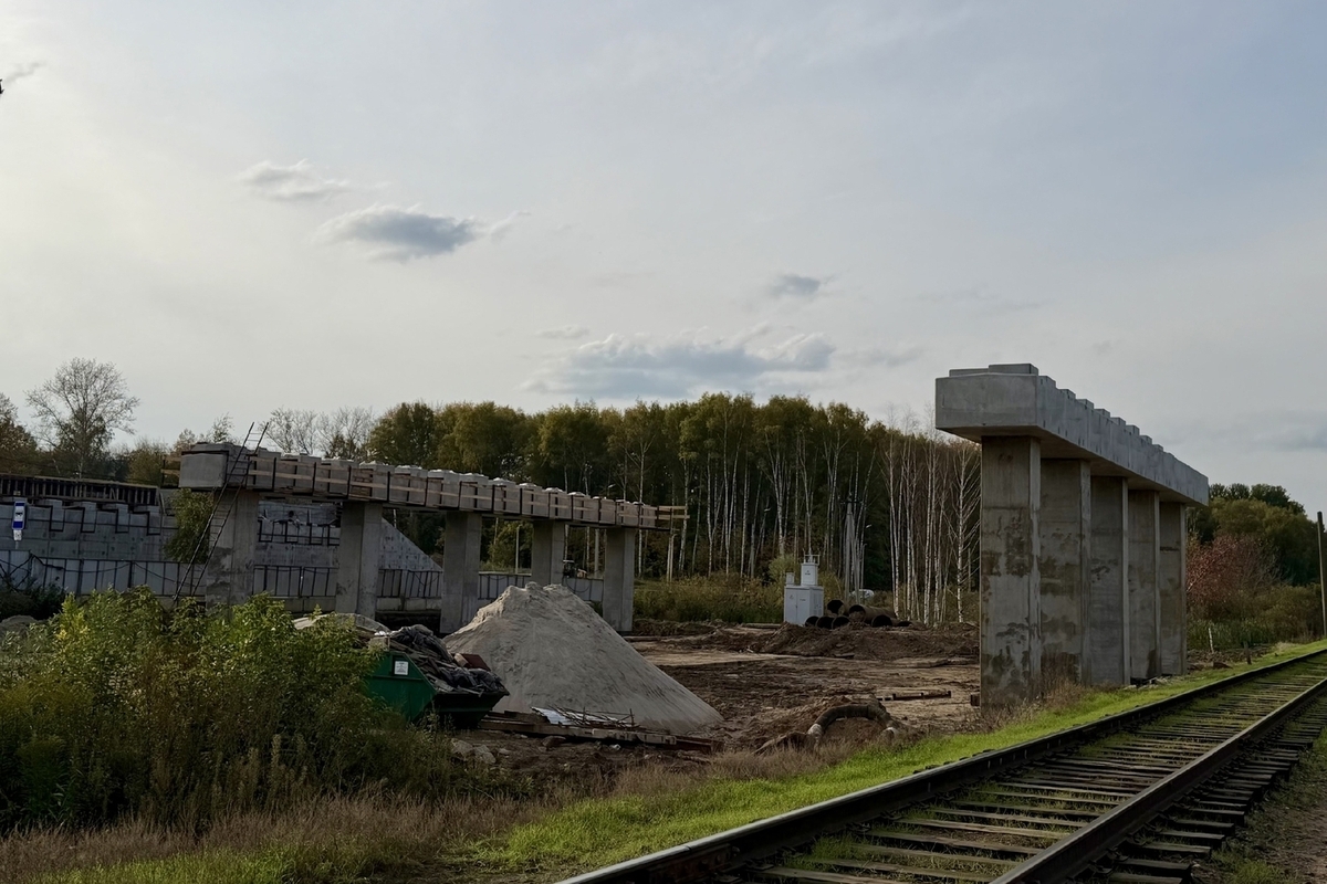 Ярославские чиновники проверят, почему мост через Волгу строят шумно