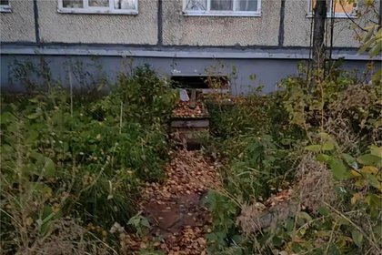 В российском городе девятилетняя девочка упала в яму с кипятком