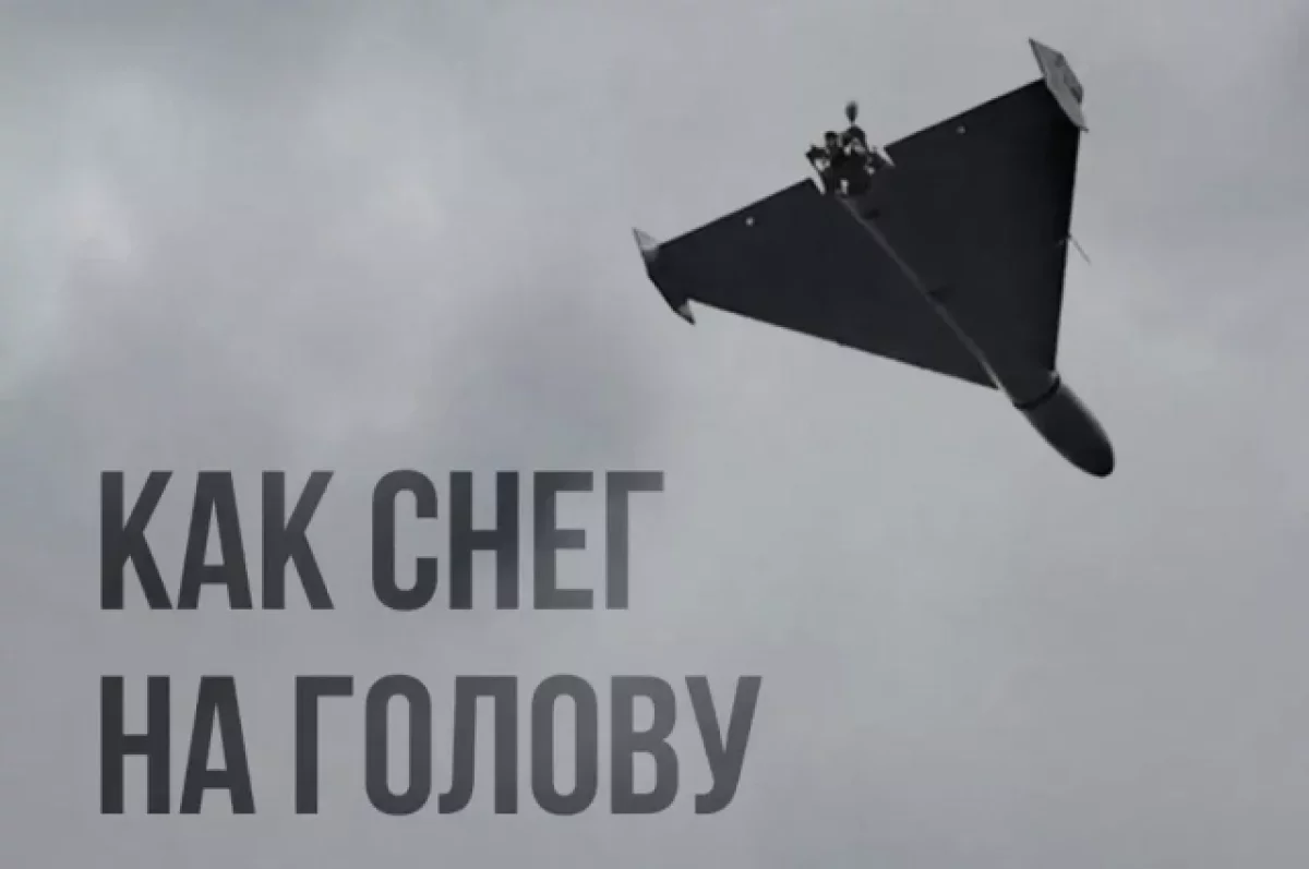 Минобороны РФ прокомментировало удары по Украине мемом с «Геранями»